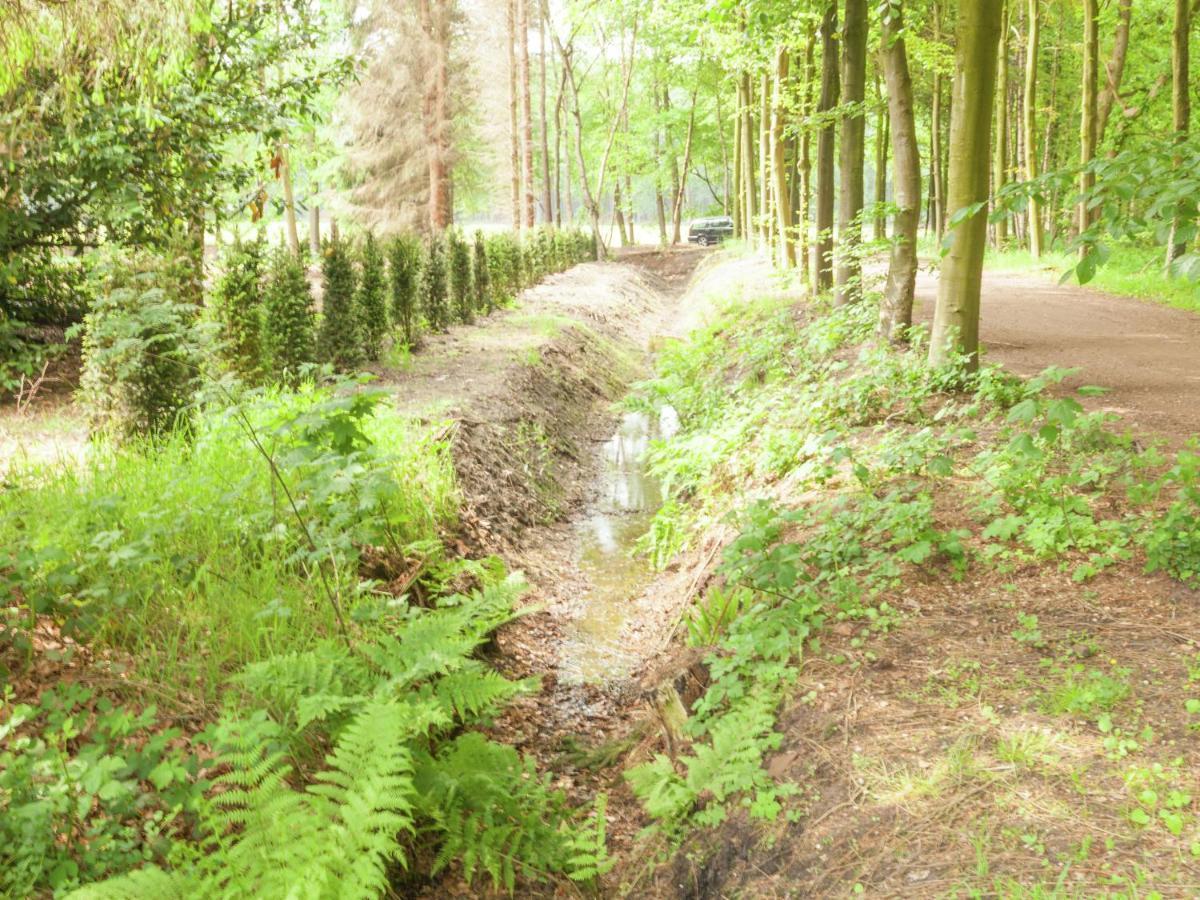 Cozy Holiday Home Near Forest In Baarn Exterior photo